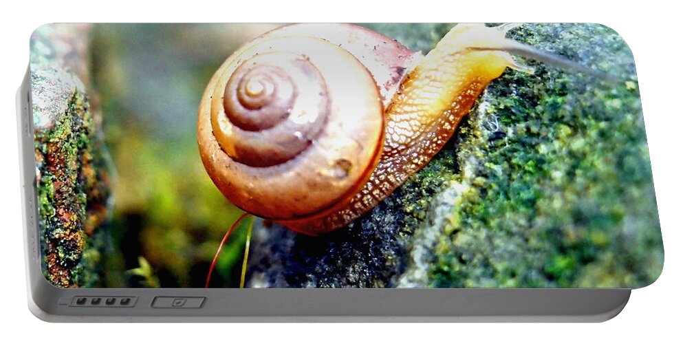 Nature Portable Battery Charger featuring the photograph Garden Snail by Amy McDaniel