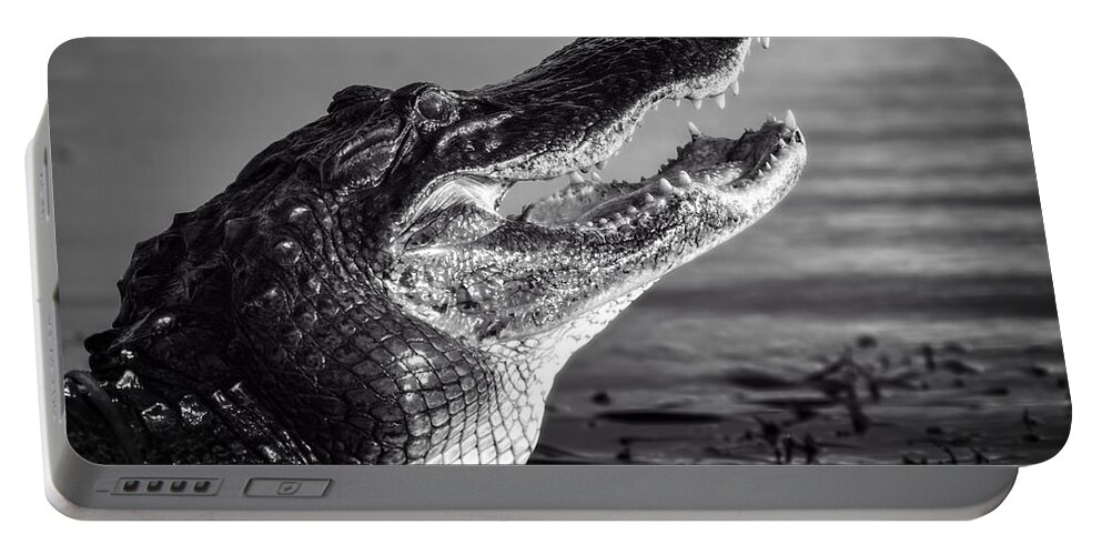 Alligator Portable Battery Charger featuring the photograph Gator Growl by Mark Andrew Thomas