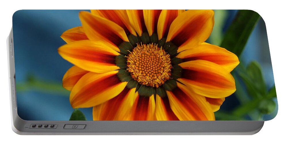 Flowers Portable Battery Charger featuring the photograph Gazania In Electrified Color by Dorothy Lee