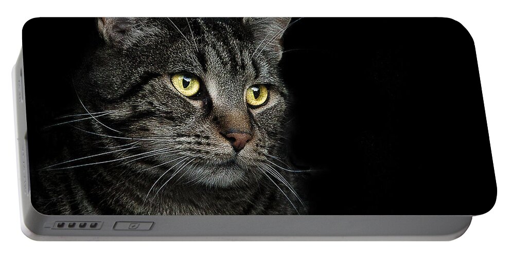 Cat Portable Battery Charger featuring the photograph Gaze by Paul Neville