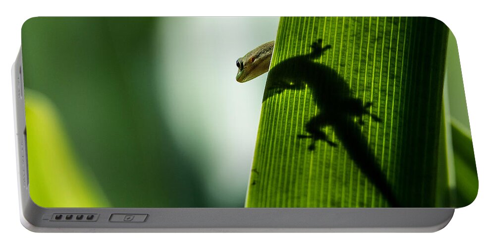Gecko Portable Battery Charger featuring the photograph Gecko in the Morning Sun by Mark Rogers