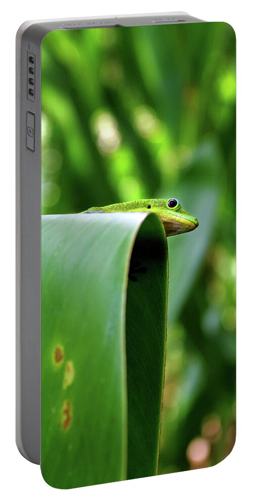 Hawaii Portable Battery Charger featuring the photograph GeckoOverlook by Anthony Jones