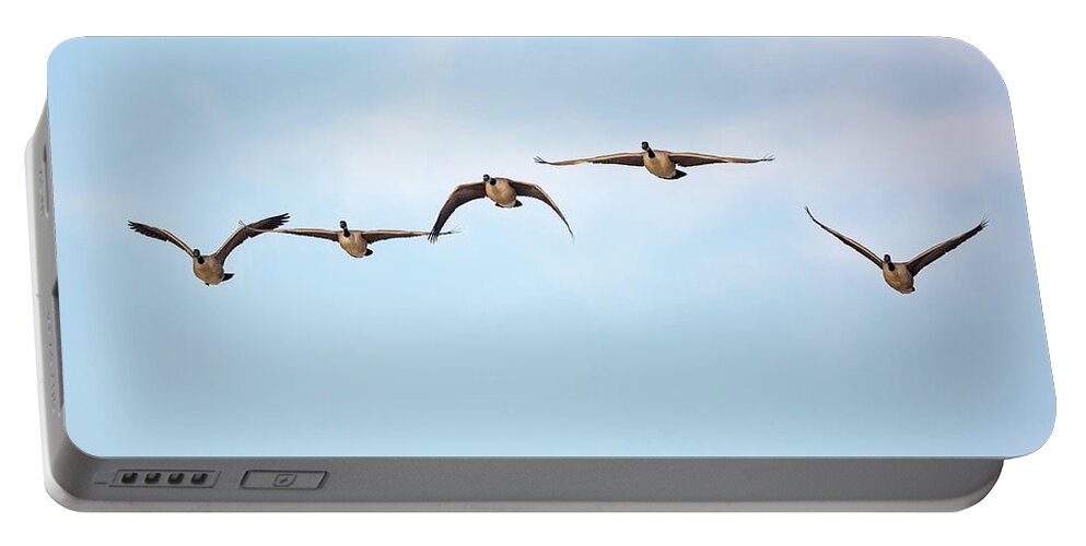 Birds In Flight Portable Battery Charger featuring the photograph Geese in Flight 2018 by Bill Wakeley
