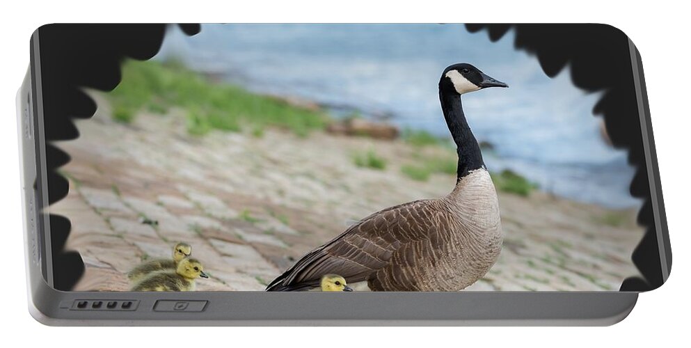 Geese Portable Battery Charger featuring the photograph Geese in the Clouds by Holden The Moment
