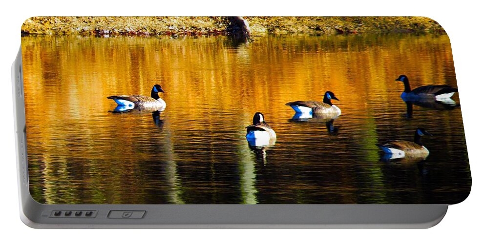 Geese Lake Water Photo Photograph Wildlife Wild Life Fowl Waterfowl Fall Gold Portable Battery Charger featuring the photograph Geese on Lake by Craig Walters