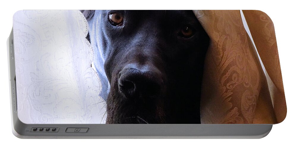 Great Dane Portable Battery Charger featuring the photograph Gentle Giant by Theresa Campbell