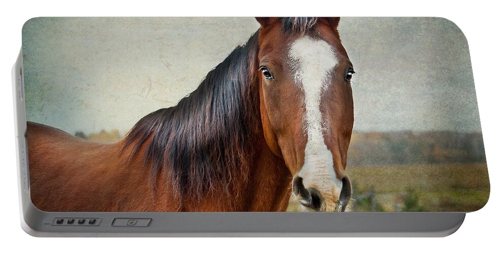 Horse Portable Battery Charger featuring the photograph Gentle by Maggie Terlecki
