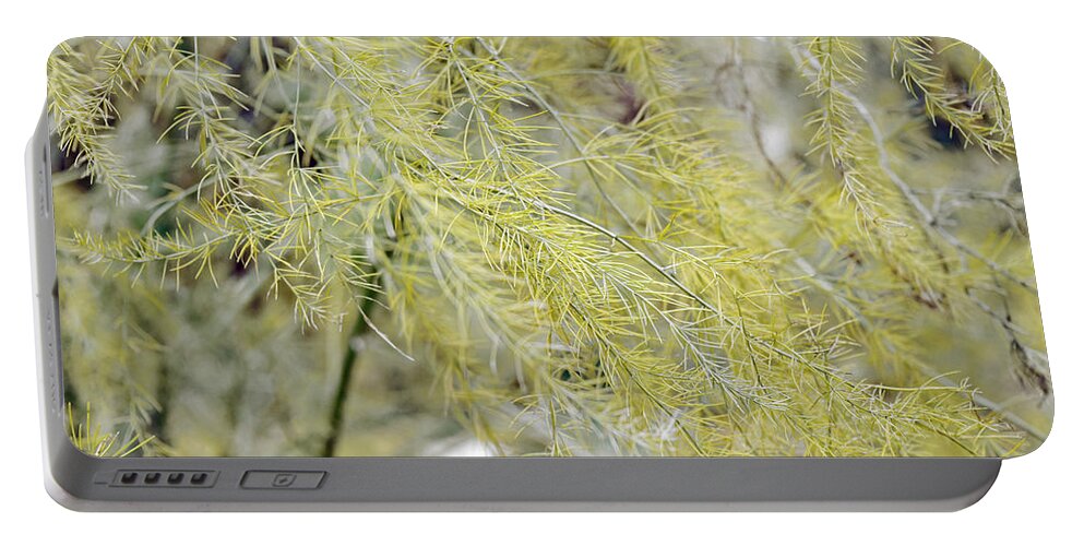 Foliage Portable Battery Charger featuring the photograph Gentle Weeds by Deborah Crew-Johnson