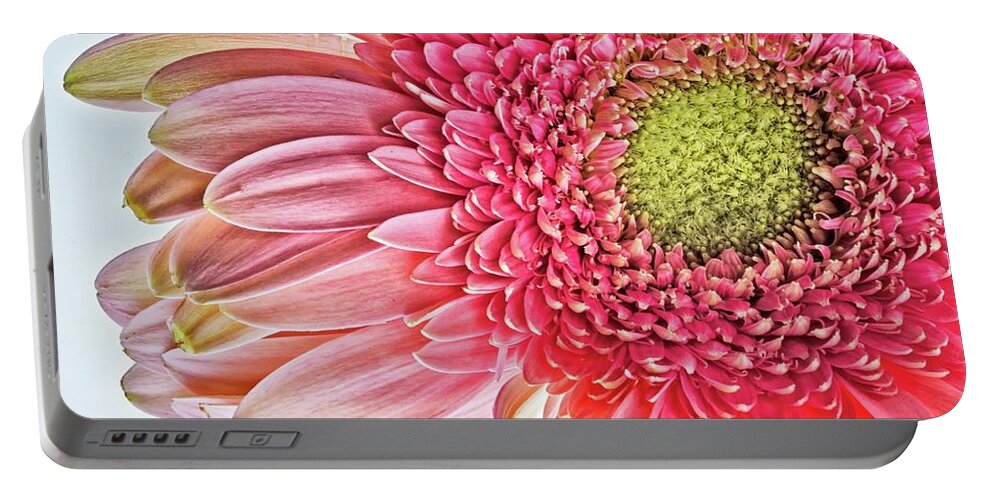 Flower Portable Battery Charger featuring the photograph Gerbera Daisy by Winnie Chrzanowski