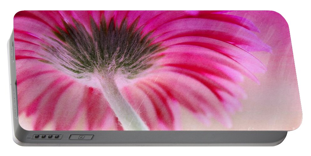 Gerbera Portable Battery Charger featuring the photograph Gerbera Umbrella by Clare Bevan