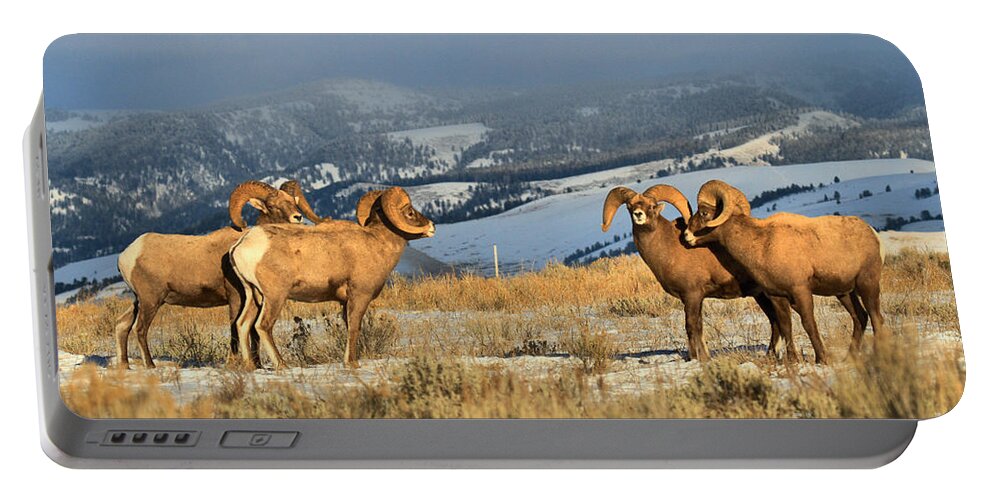 Bighorn Portable Battery Charger featuring the photograph Getting Ready For Battle by Adam Jewell