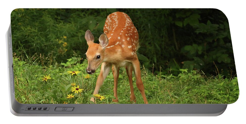 Deer Portable Battery Charger featuring the photograph Getting the Sniff Test by Duane Cross