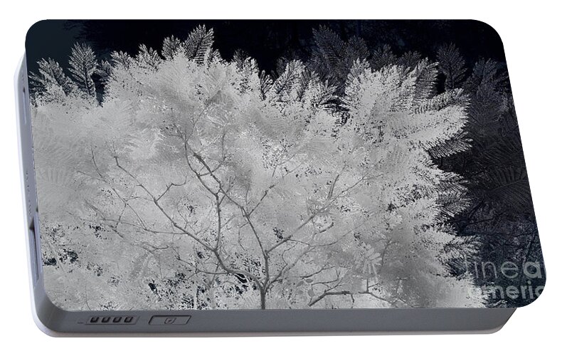 Tree Portable Battery Charger featuring the photograph Ghost of a tree by Cesar Padilla