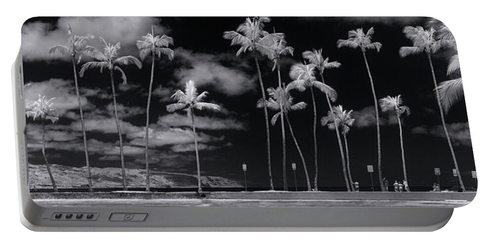 Black And White Portable Battery Charger featuring the photograph Giant Dandelions. by Sean Davey