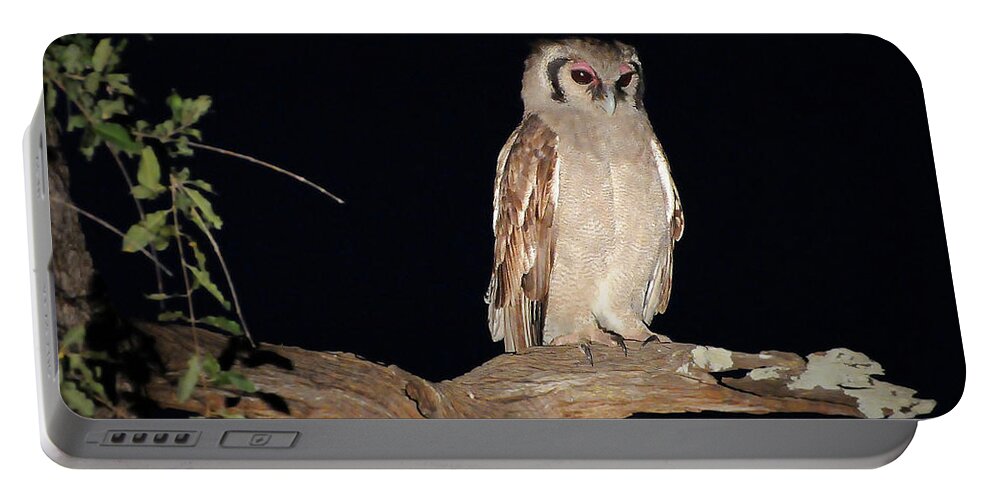 Giant Portable Battery Charger featuring the photograph Giant Eagle Owl by Ted Keller