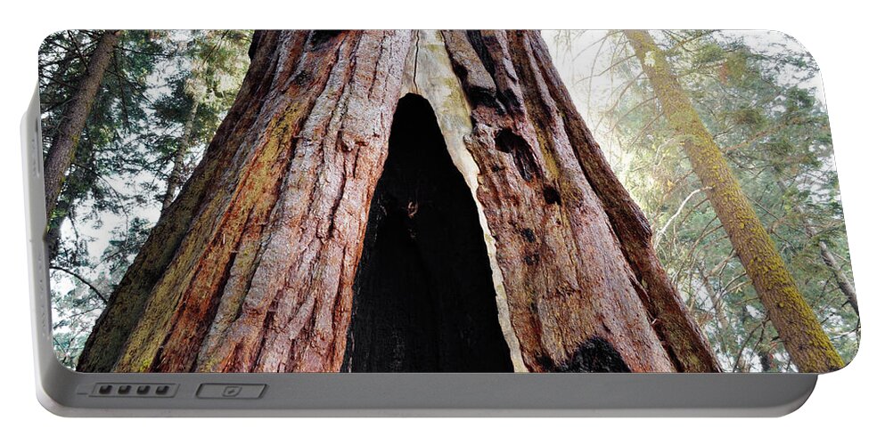 Sequoia National Park Portable Battery Charger featuring the photograph Giant Forest Giant Sequoia by Kyle Hanson