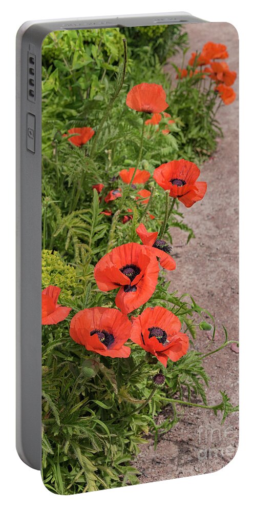 Path Portable Battery Charger featuring the photograph Giant red poppies by Sophie McAulay
