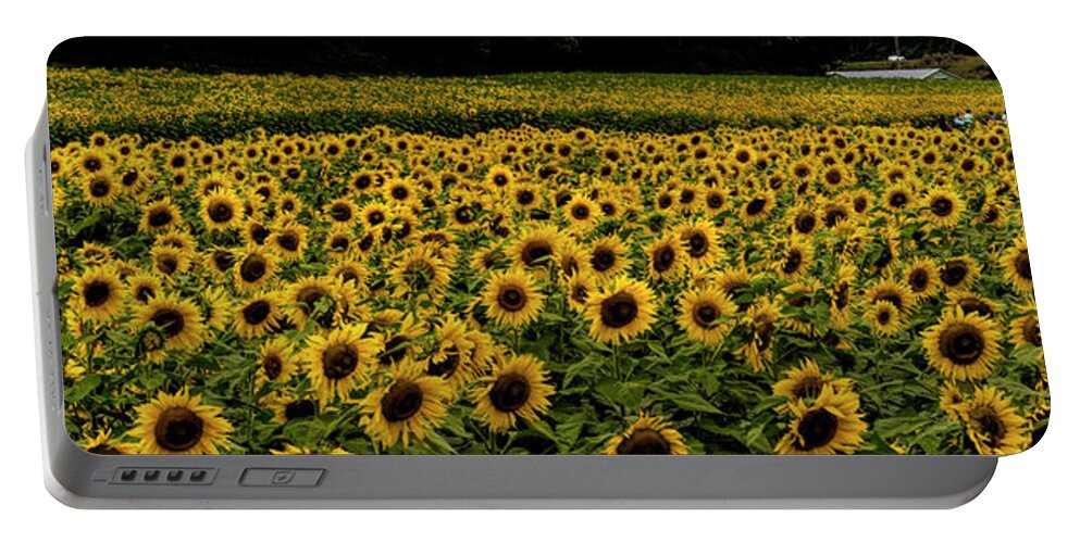 Giant Sunflower Panorama Portable Battery Charger featuring the photograph Giant Sunflower Panorama by Barbara Bowen