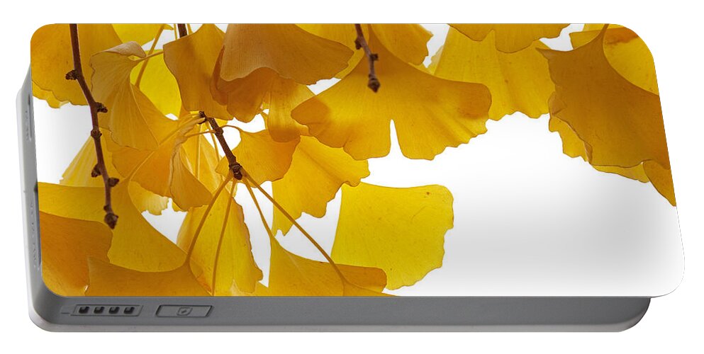 Fn Portable Battery Charger featuring the photograph Ginkgo Ginkgo Biloba Leaves In Autumn by Aad Schenk