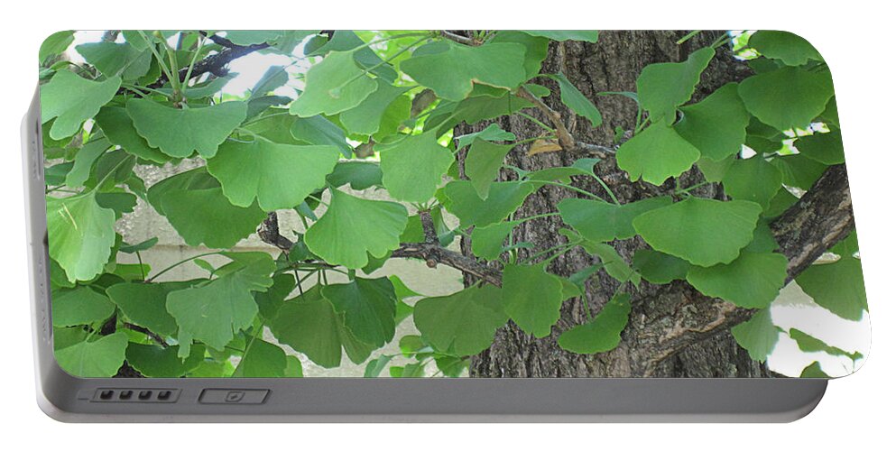Ginkgo Portable Battery Charger featuring the photograph Ginko Leaves by Brandy Woods