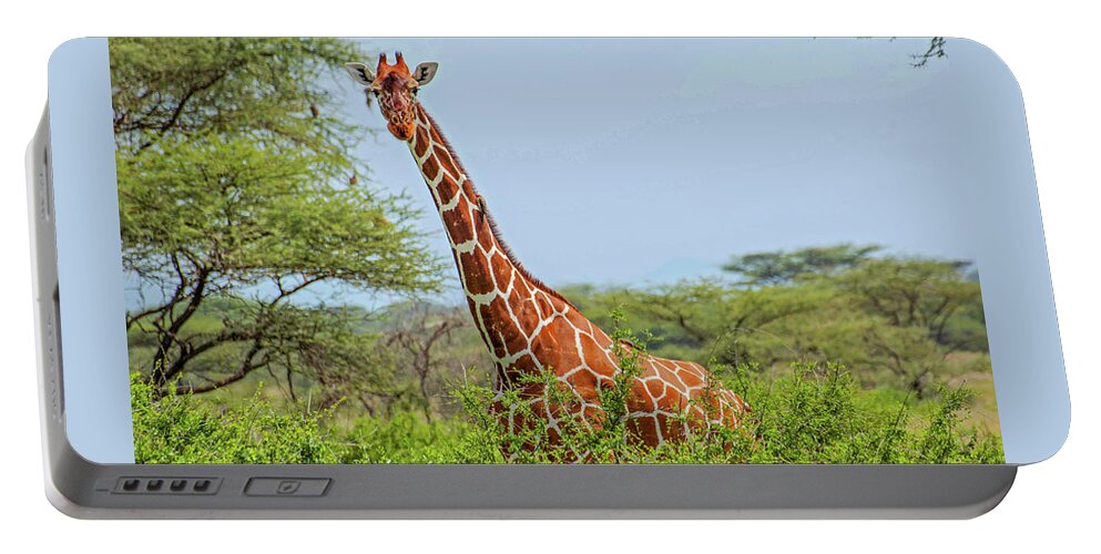 Giraffe Portable Battery Charger featuring the photograph Giraffe in the shrubs by Peggy Blackwell