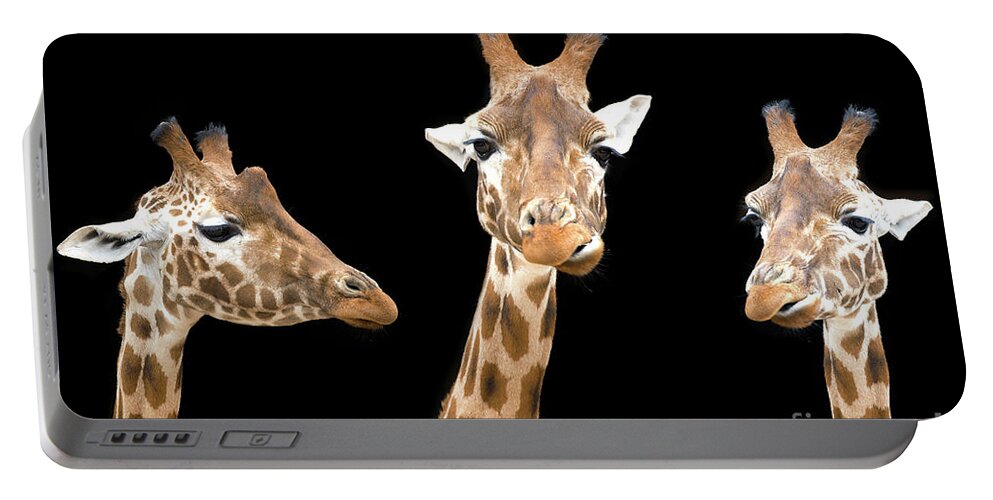 Giraffe Portable Battery Charger featuring the photograph Giraffe trio by Jane Rix