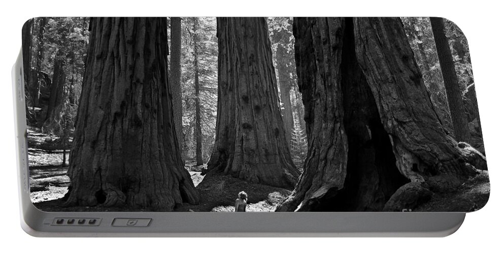 Sequoias Portable Battery Charger featuring the photograph Girl and Giants by Olivier Steiner
