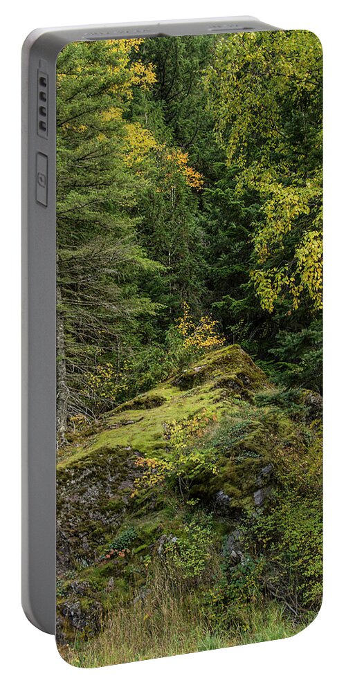 Trees Portable Battery Charger featuring the photograph Glacier Forest by Roy Nierdieck