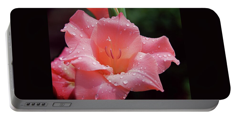 Gladiolus Portable Battery Charger featuring the photograph Glad All Over by Jim Benest
