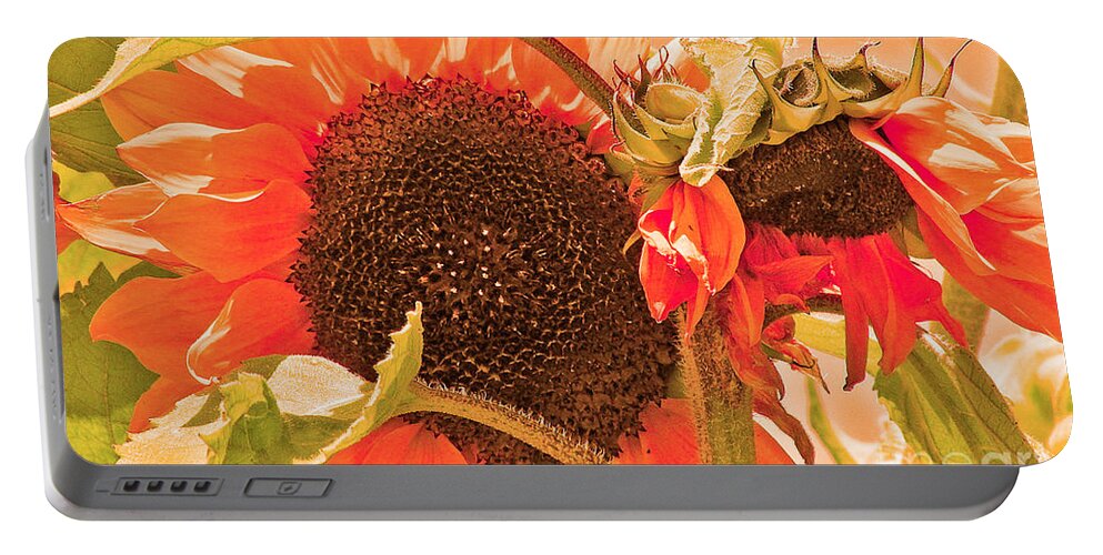 Flower Portable Battery Charger featuring the photograph Glorious by Joyce Creswell