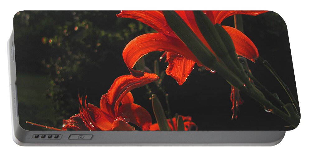 Flowers Portable Battery Charger featuring the photograph Glowing Day Lilies by Donna Brown