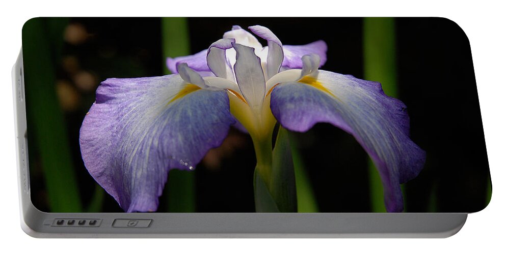 Iris Portable Battery Charger featuring the photograph Glowing Iris by Marie Hicks