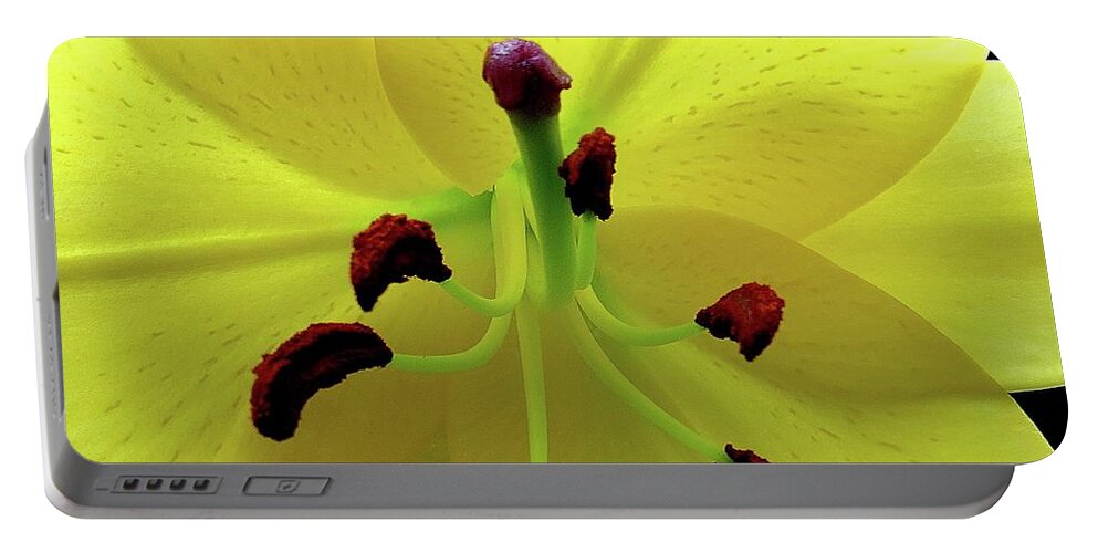 Flower Portable Battery Charger featuring the photograph Glowing Lily by Linda Stern