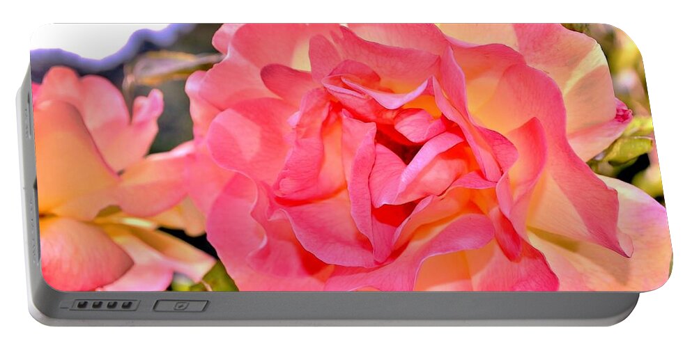 Pink Rose Portable Battery Charger featuring the photograph Glowing Pink Rose Petals by Kim Bemis