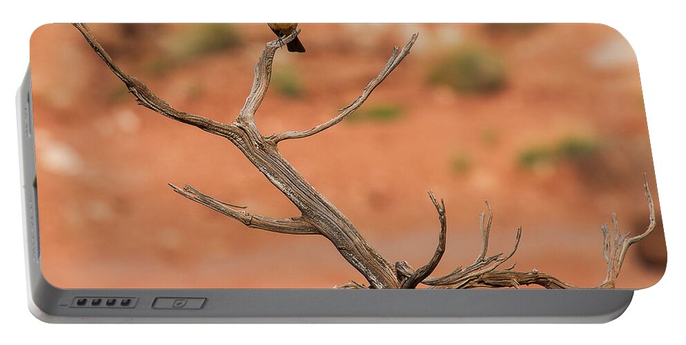 Flycatcher Portable Battery Charger featuring the photograph Gnarled Grandeur by Jim Garrison