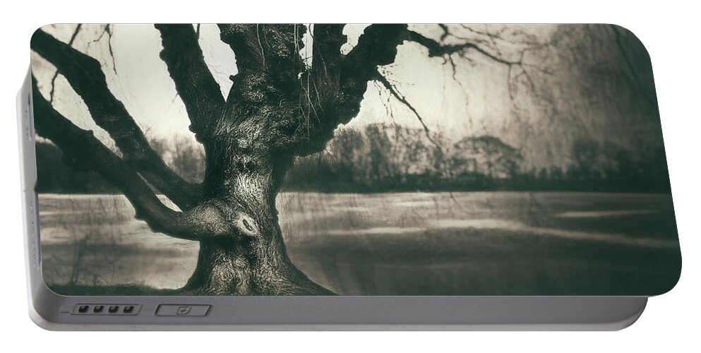 Gnarled Portable Battery Charger featuring the photograph Gnarled Old Tree by Scott Norris