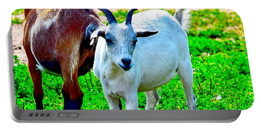 Goat Portable Battery Charger featuring the photograph Goat Friends by Becky Kurth