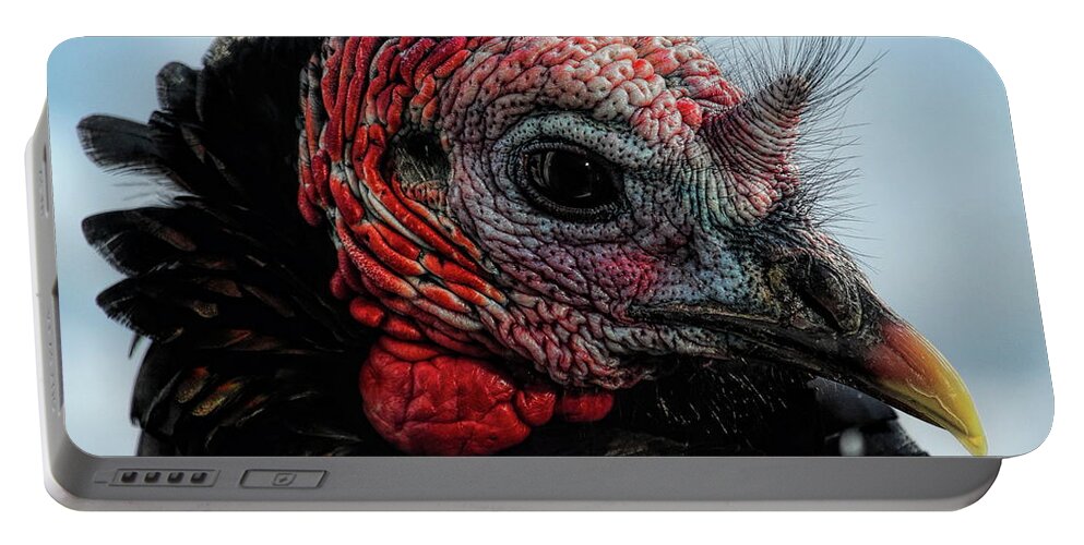 Wild Turkey Portable Battery Charger featuring the photograph Gobbler Stare Down by Dale Kauzlaric