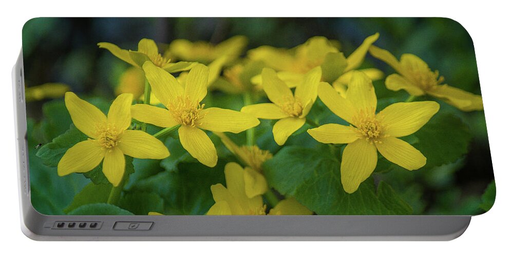 Wildflower Portable Battery Charger featuring the photograph Gold In the Marsh by Bill Pevlor