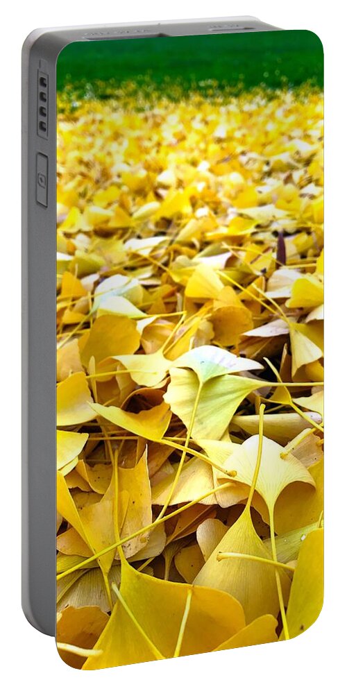 Autumn Portable Battery Charger featuring the photograph Gold Strike by Brad Hodges