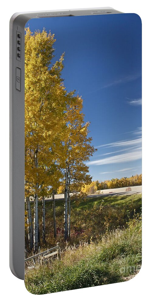 Road Portable Battery Charger featuring the photograph Golden Poplar by Linda Bianic