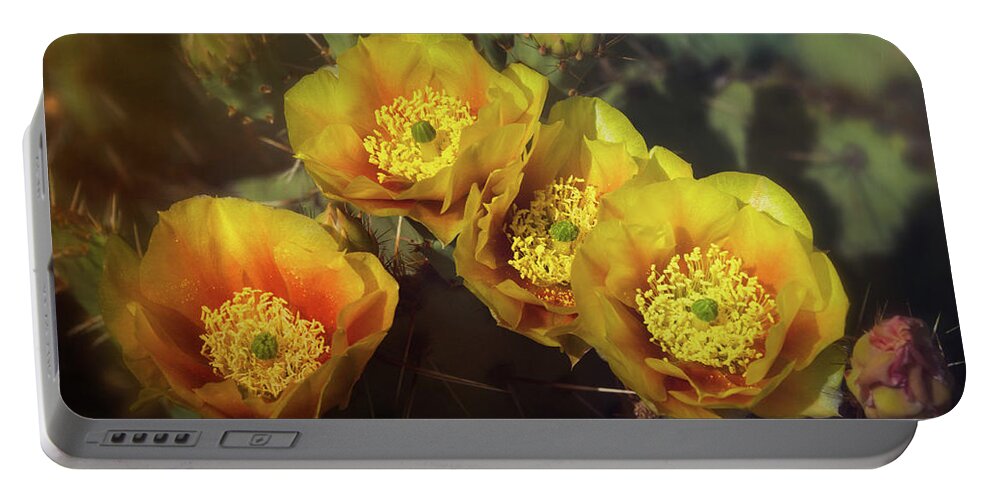 Prickly Pear Cactus Portable Battery Charger featuring the photograph Golden Cacti Flowers by Saija Lehtonen