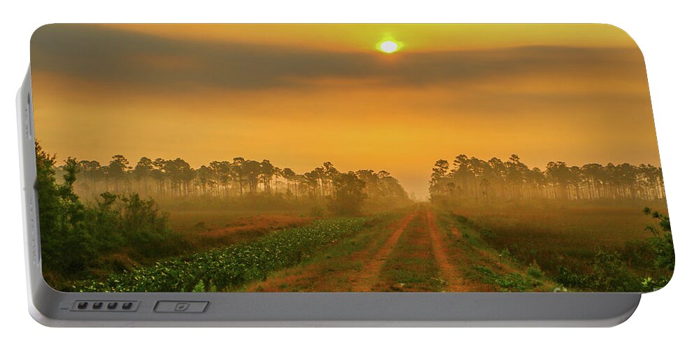 Canal Road Portable Battery Charger featuring the photograph Golden Canal Road by Tom Claud