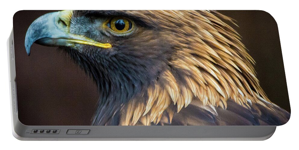 Eagles Portable Battery Charger featuring the photograph Golden Eagle 2 by Jason Brooks