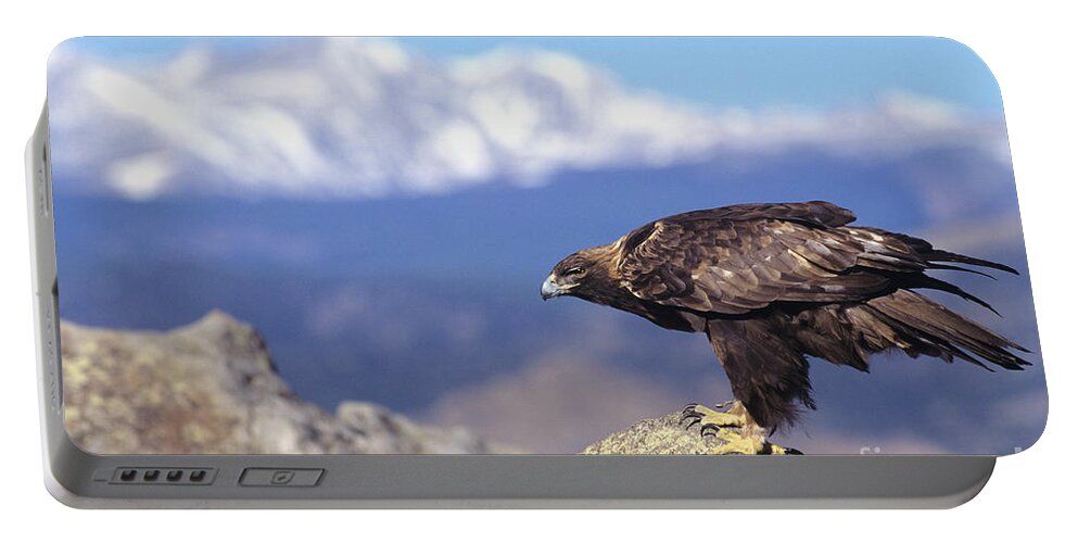 Animal Art Portable Battery Charger featuring the photograph Golden Eagle by John Hyde - Printscapes