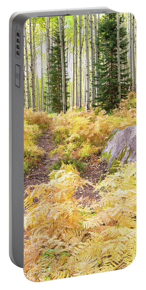 Ferns Portable Battery Charger featuring the photograph Golden Fern Path by Nancy Dunivin