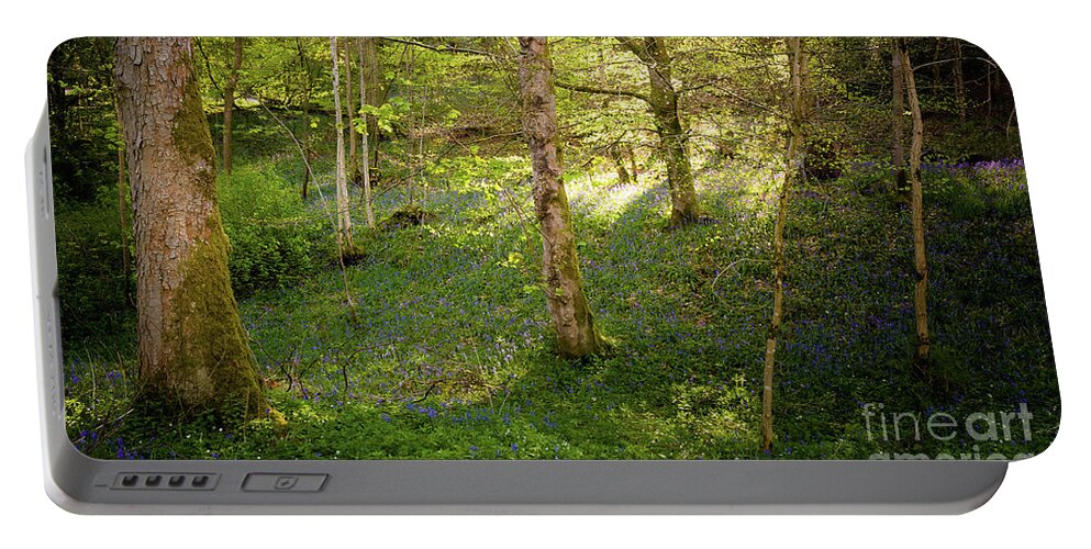 Bolton Abbey Portable Battery Charger featuring the photograph Golden hour in the woods by Mariusz Talarek
