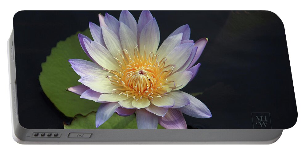 Water Lilies Portable Battery Charger featuring the photograph Golden Hue by Yvonne Wright