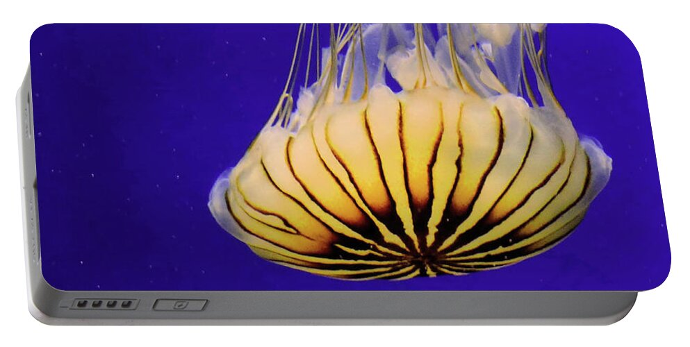 Fish Portable Battery Charger featuring the photograph Golden Jellyfish by Rosalie Scanlon