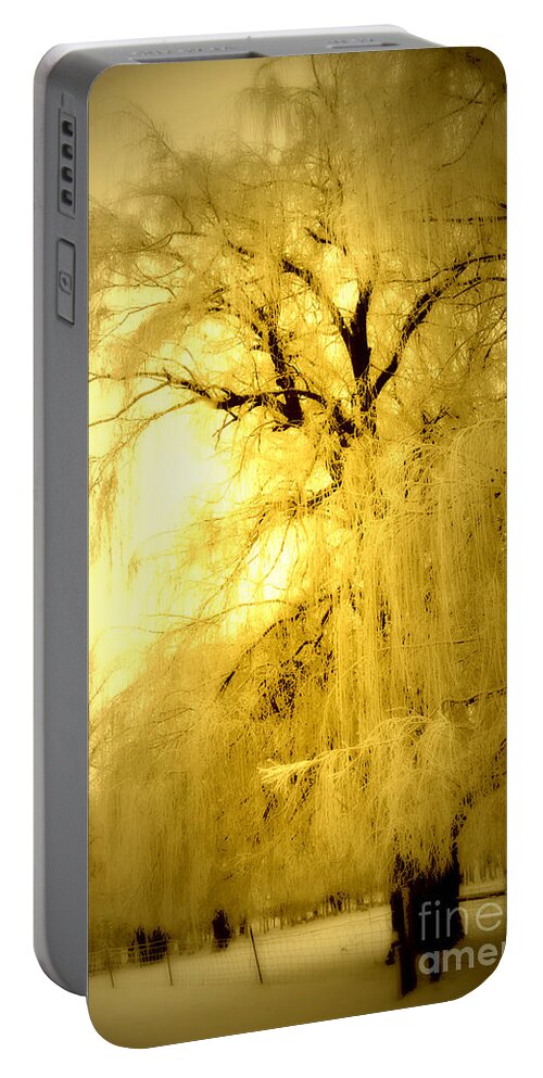 Winter Portable Battery Charger featuring the photograph Golden by Julie Lueders 